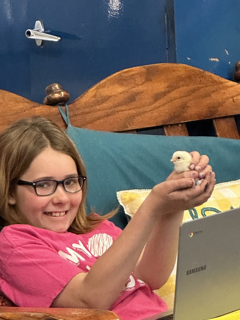 Live Feed Udall Unified School District 463